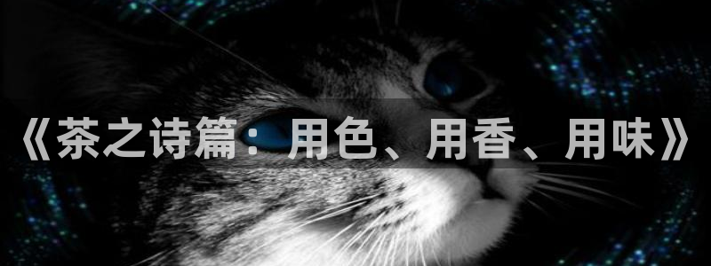 类似趣书网宝书网的网站：《茶之诗篇：用色、用香、用味》